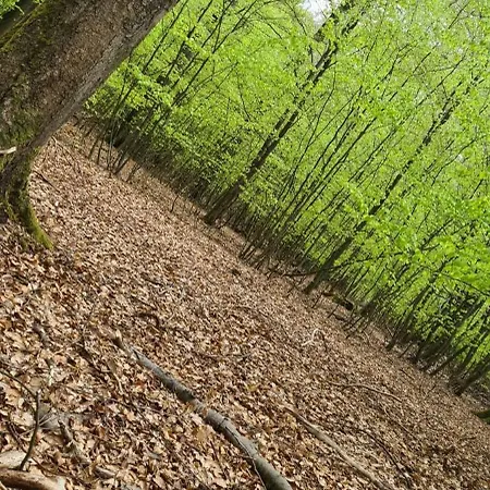 Apartamento In Mit Sued-terrasse