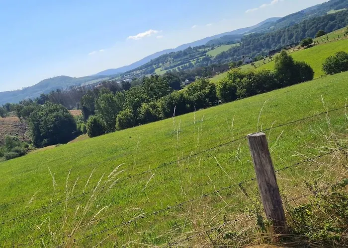 In Mit Sued-terrasse Arnsberg