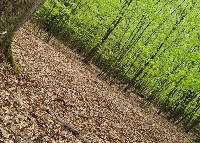 Appartamento In Mit Sued-terrasse